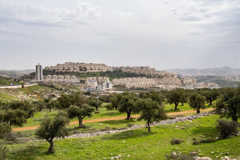 תמונה1