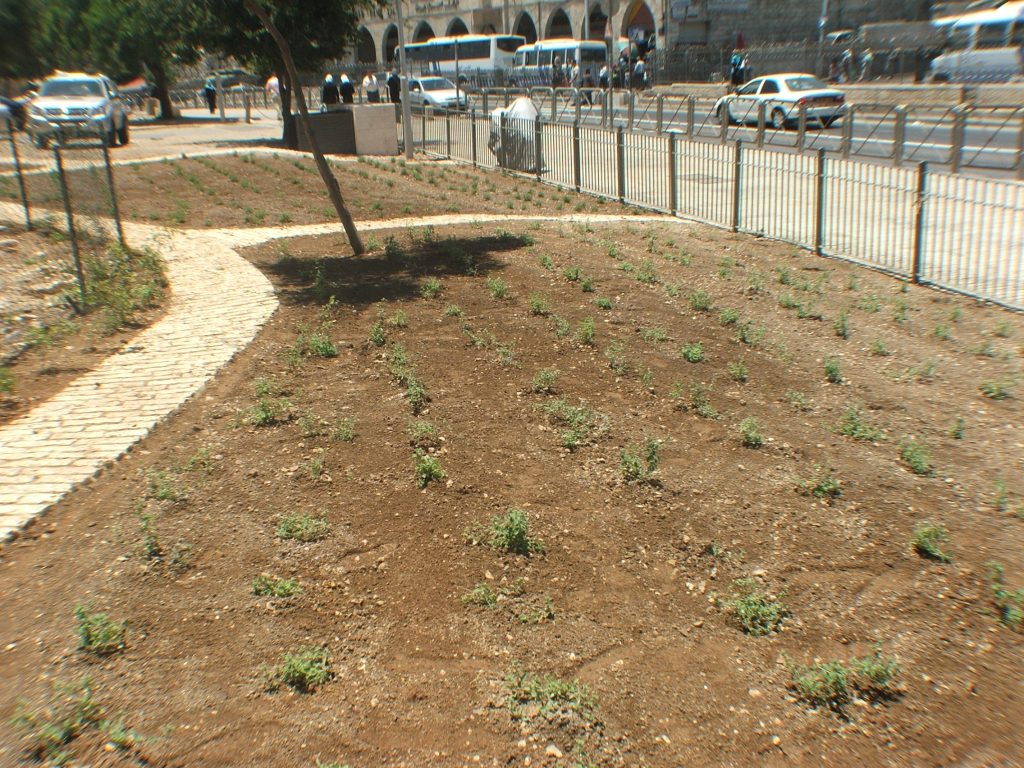 DSCF4406