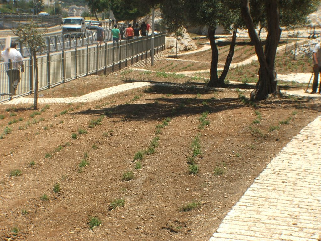 DSCF4407