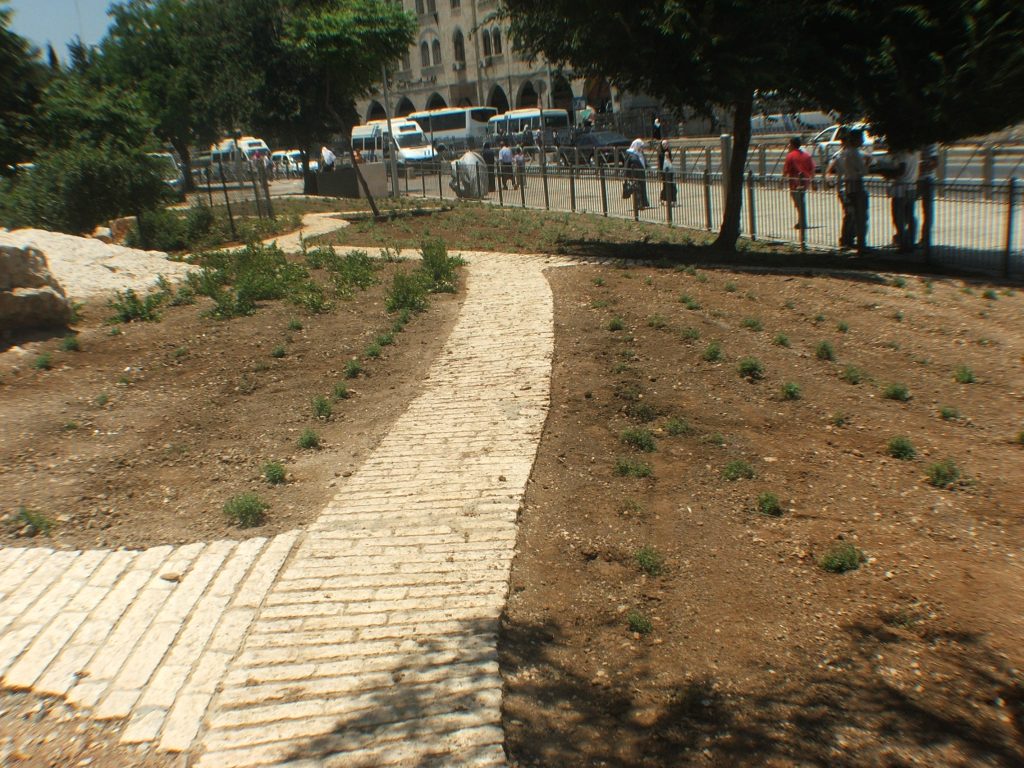 DSCF4410