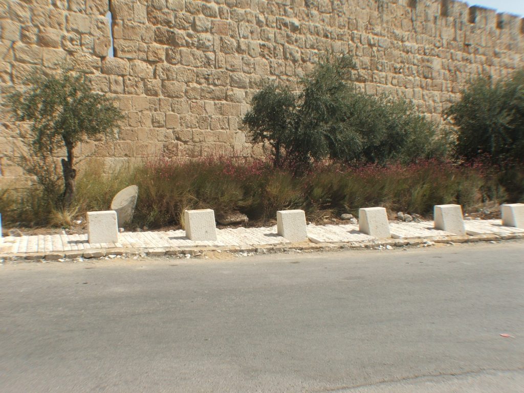 DSCF4462